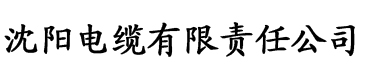 亚洲2020偷拍一区二区三区电缆厂logo